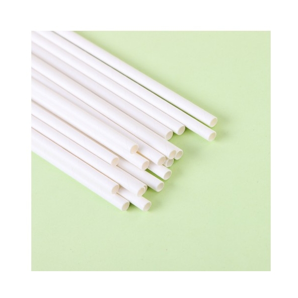 Set 100 paie din hartie 20 x 0.6 cm, albe