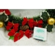 Set 12 fundite pentru brad, Rosii, clasice , 5 x 5 cm, din poliester