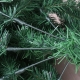 Brad de Craciun artificial cu suport inclus, 120 cm, 240 ramuri, plastic, utilizat pentru interior/exterior, verde