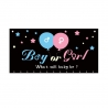 Set Gender Reveal, Balloon Drop Bag, din Plastic si Latex, 24 Baloane Roz si Albastru 13 cm, Sac pentru Baloane 60 x 120 cm, Mul