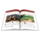 Carte educativă pentru copii, Invăț să citesc ușor, Vasilisa și Baba Yaga, Piticul Rumpelstiltskin