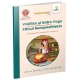 Carte educativă pentru copii, Invăț să citesc ușor, Vasilisa și Baba Yaga, Piticul Rumpelstiltskin