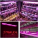 Lampa dubla pentru cresterea plantelor, 50 cm, T5, tehnologie LED, nu afecteaza plantele, potrivit pentru intregul ciclu de cres