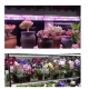 Lampa dubla pentru cresterea plantelor, 50 cm, T5, tehnologie LED, nu afecteaza plantele, potrivit pentru intregul ciclu de cres