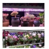 Lampa dubla pentru cresterea plantelor, 50 cm, T5, tehnologie LED, nu afecteaza plantele, potrivit pentru intregul ciclu de cres
