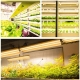 Lampa dubla pentru cresterea plantelor, 50 cm, T5, tehnologie LED, nu afecteaza plantele, potrivit pentru intregul ciclu de cres