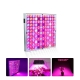 Lampa LED 15W, pentru cresterea plantelor in interior, material ABS, cu agatatoare, 25 x 25 cm, multicolor