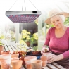Lampa LED 15W, pentru cresterea plantelor in interior, material ABS, cu agatatoare, 25 x 25 cm, multicolor