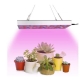 Lampa LED 15W, pentru cresterea plantelor in interior, material ABS, cu agatatoare, 25 x 25 cm, multicolor