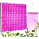 Lampa LED 15W, pentru cresterea plantelor in interior, material ABS, cu agatatoare, 25 x 25 cm, multicolor