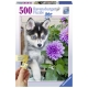 Puzzle Catel Husky, 500 Piese