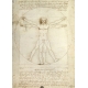 Puzzle Leonardo Da Vinci: Proportiile Corpului Uman, 1000 Piese