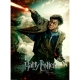 Puzzle Harry Potter, 100 Piese