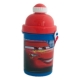 Termos plastic Cars