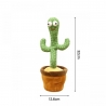 Jucarie Cactus dansator