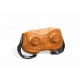 Masinuta cu telecomanda Hot Wheels Monster Truck - Tiger Shark