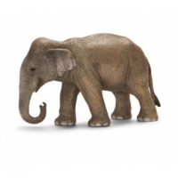 Figurina Schleich Wild Life Asia and Australia - Elefant indian, femela, 13 cm