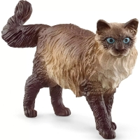 Figurina Schleich- Pisica Ragdoll 6.5 cm