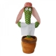 Jucarie Cactus Dansator care repeta, costumas de arab