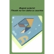 Joc magnetic tangram cu tabla si forme magnetice, 34 piese
