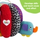 Grab & Hide Ball
