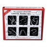 Puzzle metalic de Logica si Concentrare, 6 provocari, 15 cm