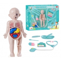 Set de joaca doctor, Anatomia corpului uman