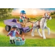 Playmobil-CARUTA CU PONEI