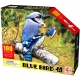Puzzle 100 piese - Pasare albastra
